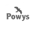 logo powys council